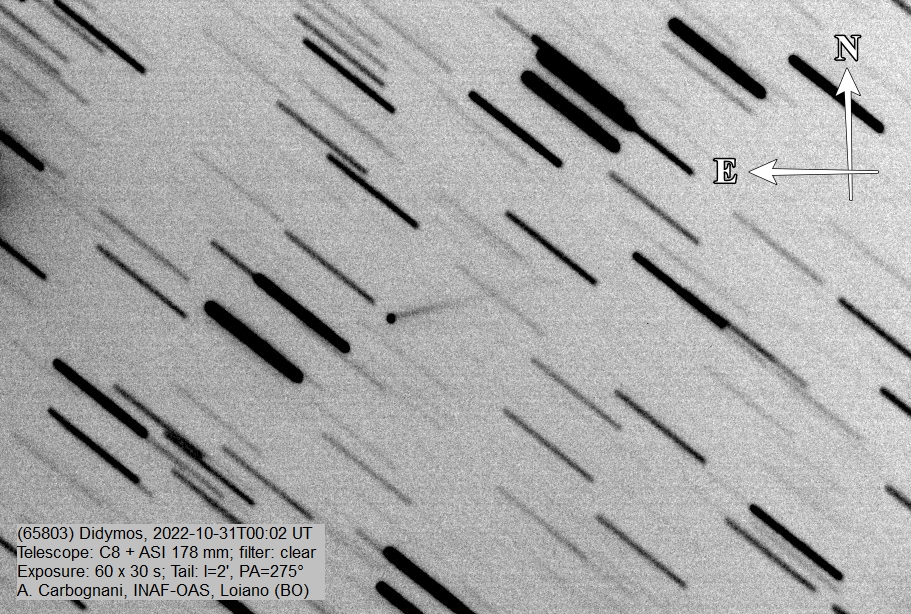 L'asteroide Didymos ripreso nella notte fra il 30 e il 31 ottobre 2022: a distanza di un mese dall'impatto di DART la coda di polveri è ancora ben visibile e ha una lunghezza di circa 10.000 km (Crediti: A. Carbognani).